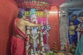 Hindu priest worshipping Goddess Kali