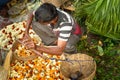 Indian seller weighs flowers by scales on Flower market at Mallick Ghat in Kolkata. India Royalty Free Stock Photo