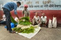 Indian traders and buyer on Flower market at Mallick Ghat in Kolkata. India