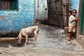 Kolkata's Slum Area. Royalty Free Stock Photo