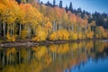 Kolob Reservoir Autumn Reflection