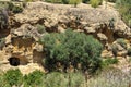 The Kolymbetra Garden at the Valle dei Templi - Agrigento, Sicily, Southern Italy Royalty Free Stock Photo