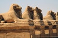 Kom Ombo double temple Ram Royalty Free Stock Photo