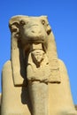 Kom Ombo double temple Ram Royalty Free Stock Photo
