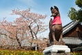 Komainu or fox guardian statue in front of the shrine