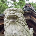 Komainu, or lion-dog, at saigawa jinja, Kanazawa, Japan.