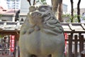 Portly Komainu Statue at Japanese Shrine