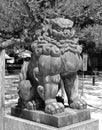 Komainu stone lion at Sumiyoshi Shrine in Fukuoka city, Japan.