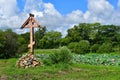 Komarov Lotus and Orthodox cross in the village of Novogordeevka. Anuchinsky district, Primorsky Krai