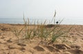 Komarovo beach of Gulf of Finland