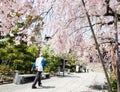 O-henro pilgrim walking on the grounds of Tatsueji, temple number 19 of Shikoku pilgrimage, Royalty Free Stock Photo