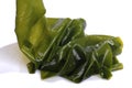 Kombu kelp is a large brown algae seaweed. Binomial name: Laminaria Ochroleuca. It is an edible seaweed used extensively in Japane