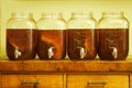 Kombucha brewing jars on wooden table