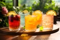 Kombucha drinks. Set of glasses with iced kombucha made of yeast, sugar and tea with addition of fruits, berries, lemon and herbs