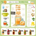 Kombucha tea infographics