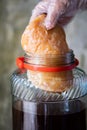 Kombucha SCOBY,Hand holding tea mushroom with kombucha tea Royalty Free Stock Photo