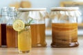 Kombucha superfood probiotic beverage in glass. Natural kombucha fermented tea beverage healthy organic drink in glass Royalty Free Stock Photo