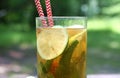 Kombucha Tea Fermented Super Food In Glass With Straw With Mint And Lemon, Lime On Wooden Table, Close Up. Royalty Free Stock Photo