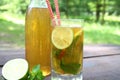 Kombucha Tea Fermented Super Food, Pro Biotic Beverage In Glass And Bottle With Mint And Lemon, Lime On Wooden Table, outdoor. Royalty Free Stock Photo