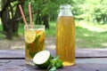 Kombucha Tea Fermented Super Food, Pro Biotic Beverage In Glass And Bottle With Mint And Lemon, Lime On Wooden Table, outdoor.