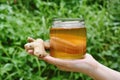 Kombucha tea, Healthy fermented food, Second fermented tea with organic ginger herb.