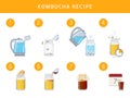 Kombucha tea recepie, vector Royalty Free Stock Photo