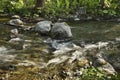 Komissarovka river near Vestochka. Russia Royalty Free Stock Photo