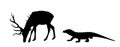 Komodo dragon hunting deer male vector silhouette illustration isolated. Huge antlers buck