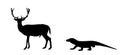 Komodo dragon hunting sika deer male vector silhouette illustration isolated.