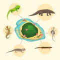 Komodo dragon, American Sand lizard, exotic reptiles monitor on exotic island. Wild animals lacertian in nature. Vector