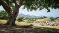 Komodo Dragon Resting Under a Tree with Mountain Landscape Royalty Free Stock Photo