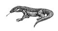 Komodo lizard, dangerous predator, dragon, for logo or emblem, engraving, sketch