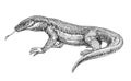 Komodo lizard, dangerous predator, dragon, for logo or emblem, engraving, sketch