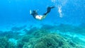 Komodo - A woman snorkelling on a coral reef