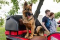 Trained German shepherd on a red ATV waiting for a ride