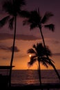 Kona Sunset Royalty Free Stock Photo