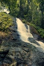 Kondalilla Falls in Kondalilla Falls National Park.