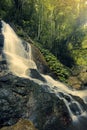 Kondalilla Falls in Kondalilla Falls National Park.