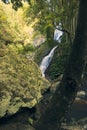 Kondalilla Falls in Kondalilla Falls National Park.