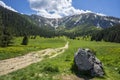 Kondratowa Valley in June. Western Tatras. Poland