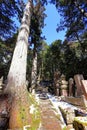 Kongobu-ji Okuno-in Okunoin Cemetery at Koyasan, Koya, Royalty Free Stock Photo