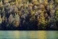 Konigsee Lake - Bavaria , Germany / autumn leaf