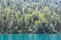 Konigssee near German Berchtesgaden surrounded with trees