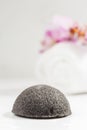 Wet Konjac Sponge Cleansing Tool, Copy Space