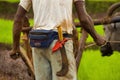 KONKAN, MAHARASHTRA, INDIA, June 2012, Farmer works with sickle- multipurpose knife or Koyta in a farm