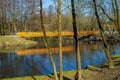 Konstancin-Jeziorna, Poland - Early spring forest and water ponds landscape with wooden footbridge in Konstancin-Jeziorna Springs