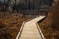 Konstancin-Jeziorna, Poland - Sightseeing footbridge path across reeds and wetlands of Konstancin-Jeziorna Springs Park near