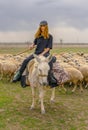 Konya, Turkey-April 14 2019: Shepherdesses with hat riding white donkey in front of sheep herd on grass