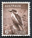 Kookaburra Australian Postage Stamp