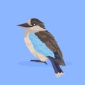 Kookaburra bird icon cute cartoon wild animal symbol wildlife species fauna concept flat Royalty Free Stock Photo